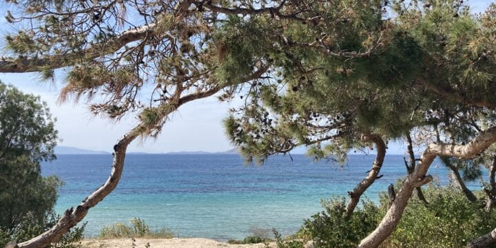 How to get to Aegina Island with teens and tweens