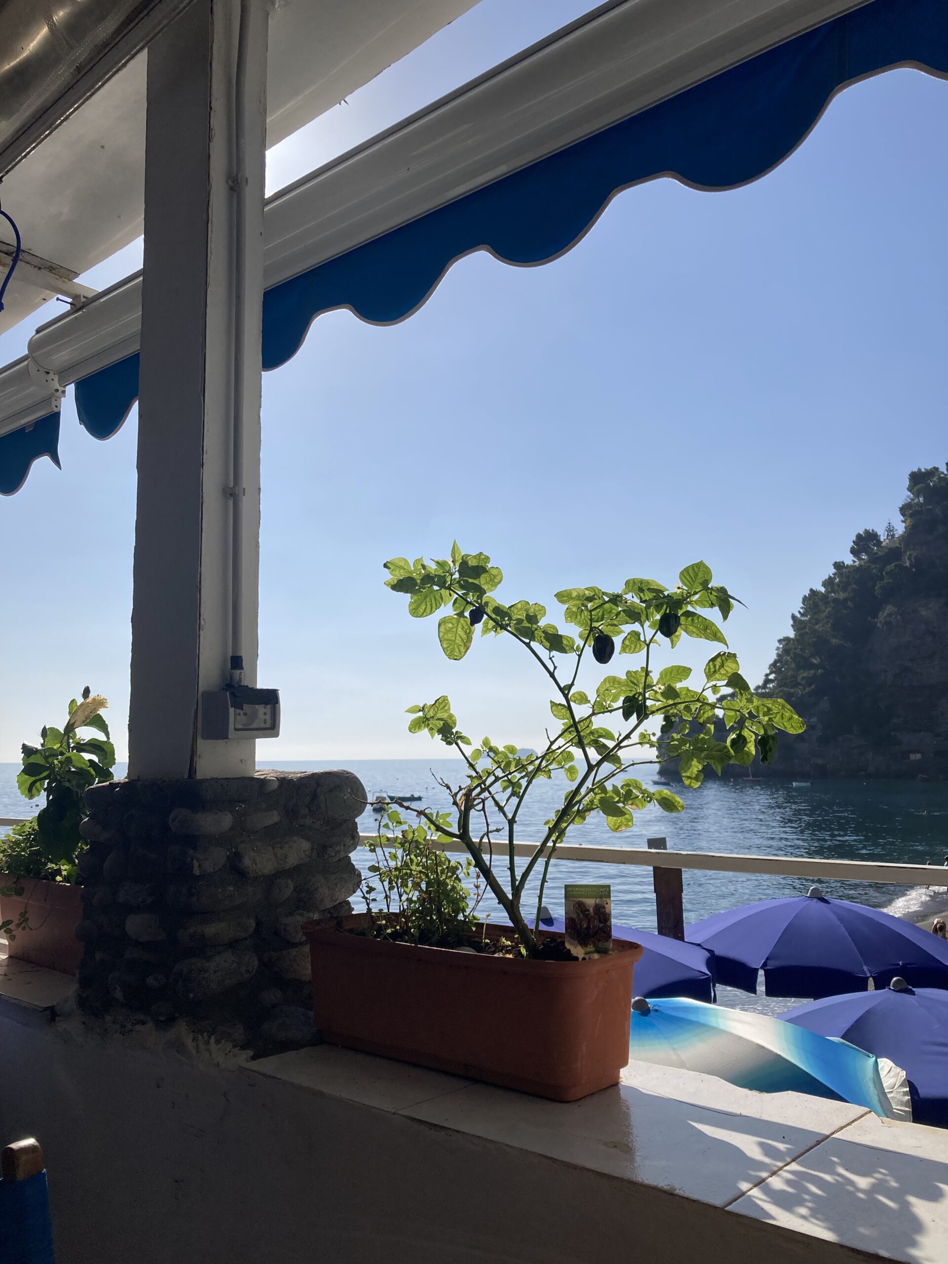 How to spend an unforgettable day in vibrant Positano!